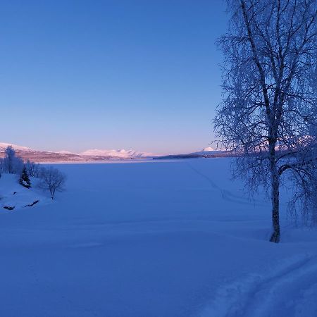 Villmarksgard Tommerstue Hattfjelldal المظهر الخارجي الصورة