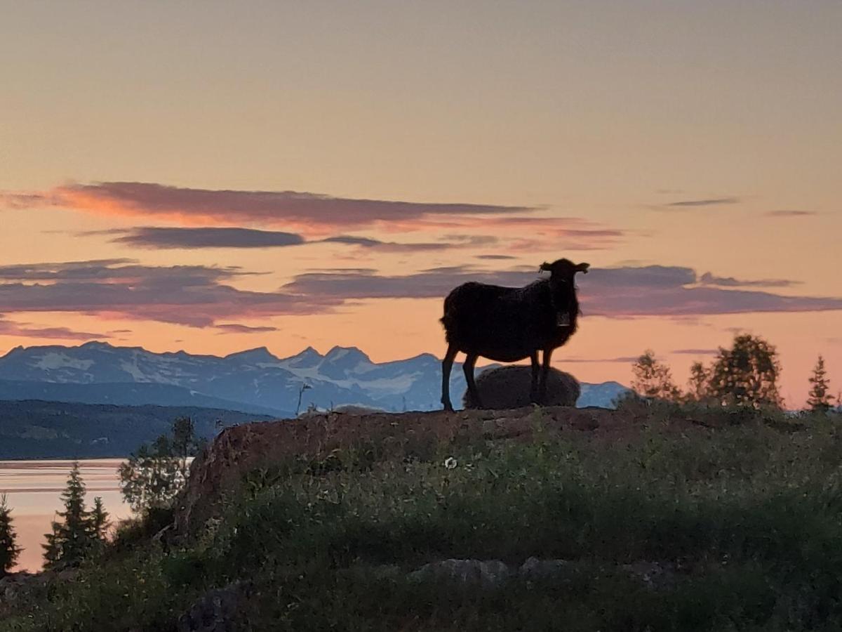 Villmarksgard Tommerstue Hattfjelldal المظهر الخارجي الصورة