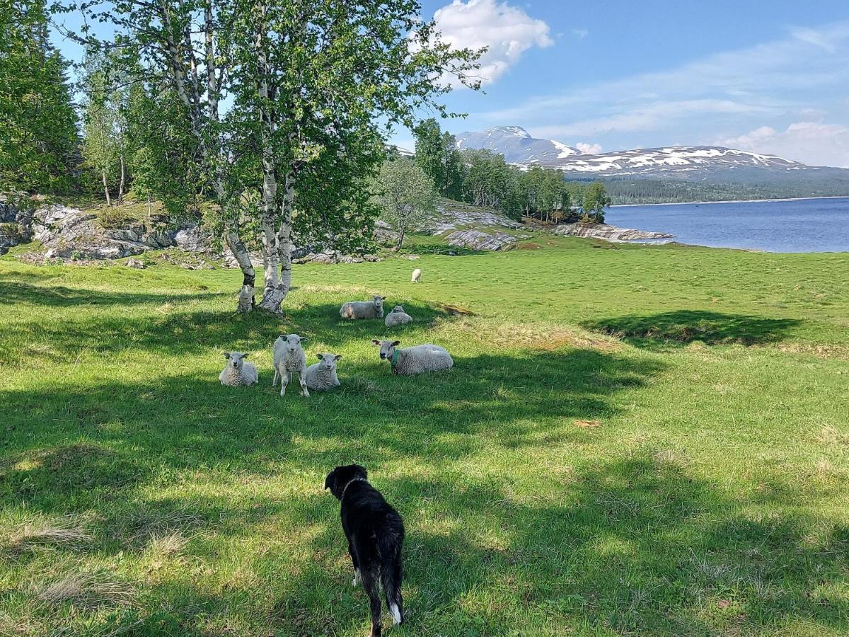 Villmarksgard Tommerstue Hattfjelldal المظهر الخارجي الصورة